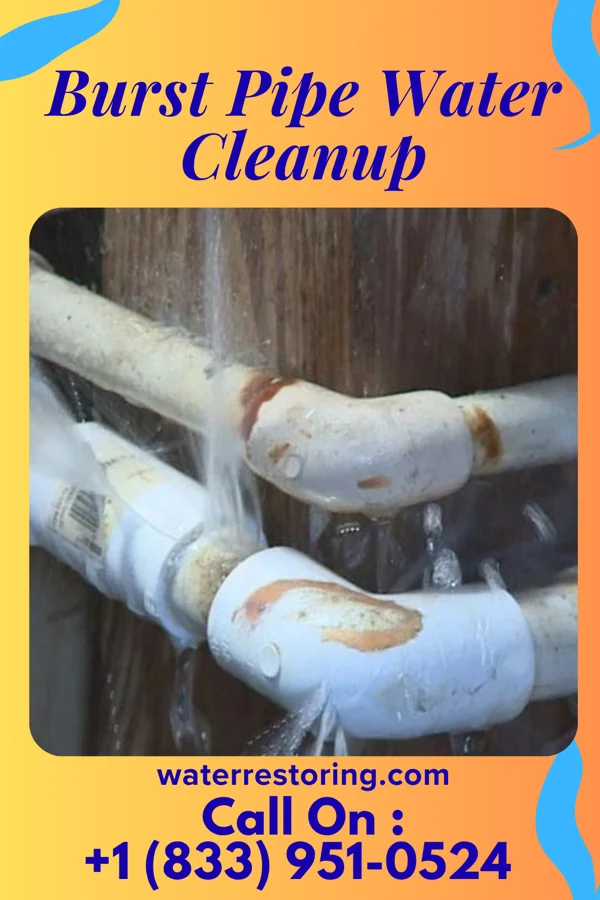 Burst Pipe Water Cleanup in Chickamauga, GA